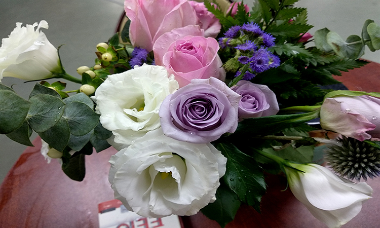 圣元電器盛開(kāi)的鮮花