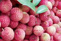 圣元電器夏季農(nóng)家樂(lè)